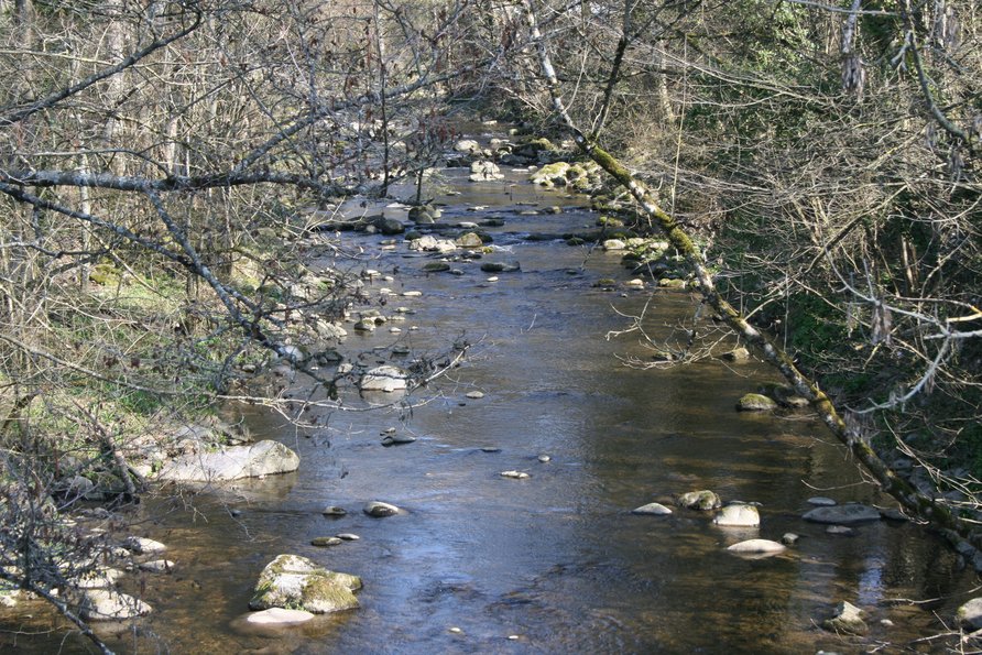 Mittelweg Schlücht